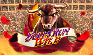 850bet Bulls Run Wild